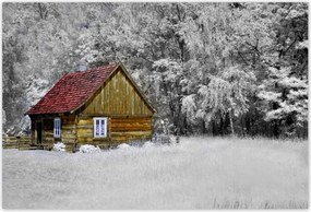 Poszterek 185x125 Fa ház Bale