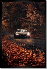 Poszterek keretben 40x60 Audi Őszi tájkép