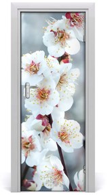 Poszter tapéta ajtóra Cseresznye virágok 95x205 cm