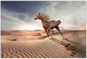 Fotótapéták 200x135 Galoppozó ló