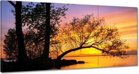 Vászonkép 180x90 Fák Naplemente