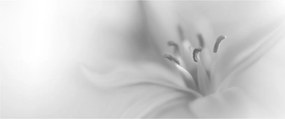 Kép - Delicate Lily (120x50 cm)