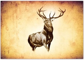Poszterek 100x70 Szarvas szarvakkal