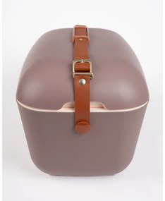 Barna hűtődoboz 12 l Classic Gold – Polarbox