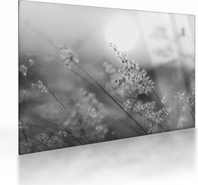 Üveg kép - Őszi rét (70x50 cm)