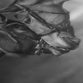 Kép - Szerelmes lovak, fekete-fehér (120x50 cm)