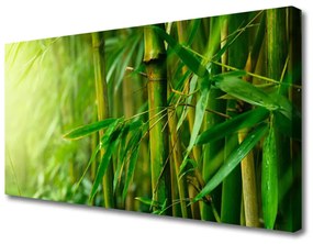 Vászonkép Bambusz szárak Plant 100x50 cm