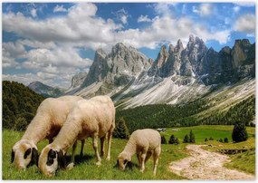 Poszterek 100x70 Hegyek Juh legeltetés