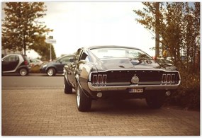 Poszterek 155x105 Vintage fotĂł Ford Mustang