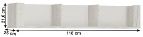 Polc Adamus Typ 61. 788470