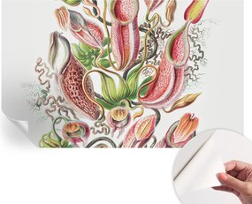 Öntapadós tapéta Divatos 3D fali ragasztó Növényi részletek 416x254 cm