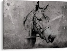 Kép - Egy ló portréja (70x50 cm)
