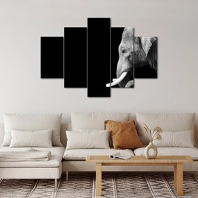 Kép - Elefánt (150x105 cm)