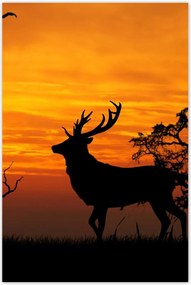 Poszterek 60x90 Szarvas