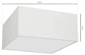 Mennyezeti lámpa ALBION 2xE27/60W/230V