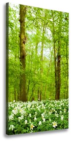 Vászon nyomtatás Virágok az erdőben ocv-83235444