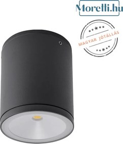 REDO 9599 ETA Modern Kültéri Mennyezeti Lámpa LED IP54