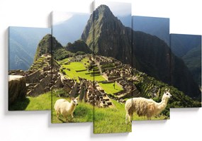 Kép - Lámák Machu Picchuban (150x105 cm)