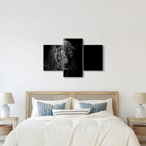 Egy vadtigris képe (90x60 cm)