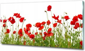 Fotó vászonkép edzett üveg Orchidea 100x70