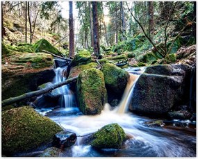 Poszterek 50x40 Hegyi patak Tájkép