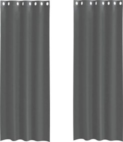 vidaXL 2 db sötétszürke fátyolfüggönyök rojtokkal 140x300 cm