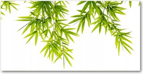 Fotó kép edzett üveg bambusz levelek 140x70