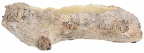 Virágcsomagolás, kivájt gyökér, 35 x 16 x 11 cm,beton