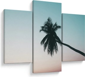 Kép - Pálmafa Balin (90x60 cm)