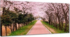 Vászonkép 120x60 Virágok