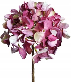 Hortenzia hortenzia ág bordó művirág