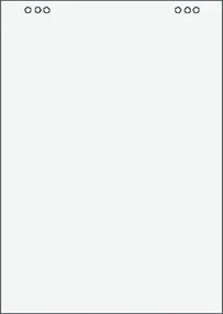 Flipchart papír, sima, 65x95 cm, 5x20 lap, VICTORIA VISUAL (VPTP)