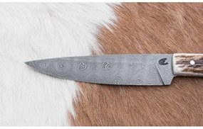 Vadász dispatch kés 12 cm szarvas agancs