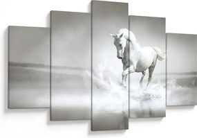 Kép - Fehér ló (150x105 cm)