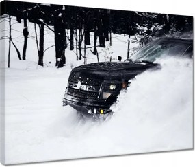 Vászonkép 40x30 Szórakozás a hóban Tél