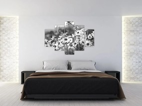 Kép - Százszorszépek (150x105 cm)
