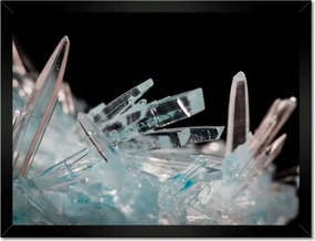 Poszterek keretben 40x30 Makrofotó MacroFoto