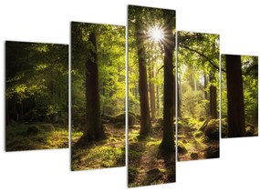 Egy álmodozó erdő képe (150x105 cm)