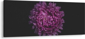 Lila virág képe (120x50 cm)