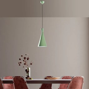 Tom - 3541 - Mint