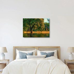Zsiráf a természetben képe (üvegen) (70x50 cm)