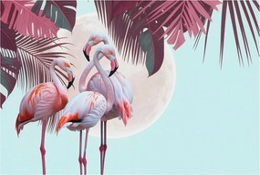 Fotótapéta Flizelin Dekoratív Hálószoba Egzotikus madarak 104x70