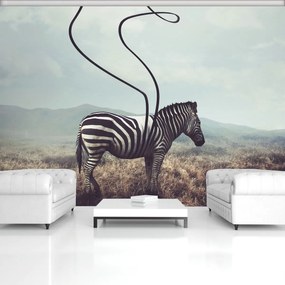 Fotótapéta - Zebra (152,5x104 cm)