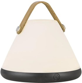 NORDLUX 46195001 STRAP Kültéri Dekorációs Lámpa LED IP54