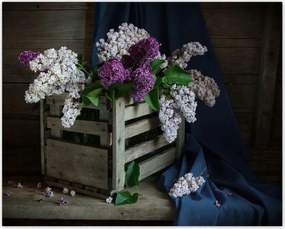 Poszterek 50x40 Doboz nélkül