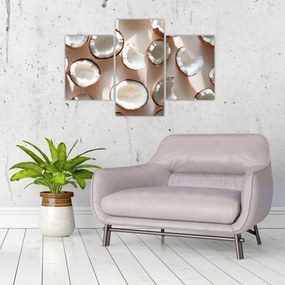 Kép - Kókuszdiók (90x60 cm)