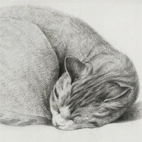 Divatos Flizelin Tapéta Ragasztóval Fali 3D Összecsukható macska 250x250 Ragasztó