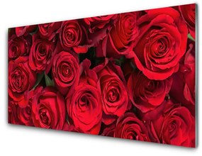 Üvegkép Red Roses Flowers Nature 125x50 cm