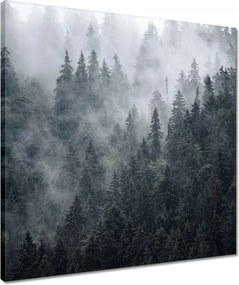 Vászonkép 50x50 Ködös hegyi táj