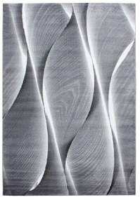 Sötétszürke szőnyeg 200x290 cm Parma – Ayyildiz Carpets